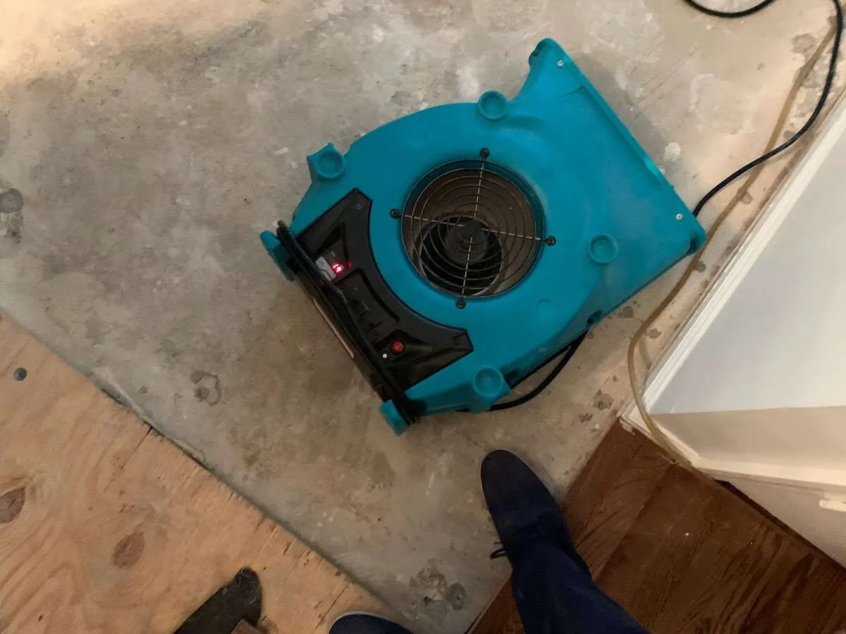 Air mover drying subfloor during Leak Detection & Repair in Flushing